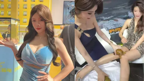 佛山顺德名龟展